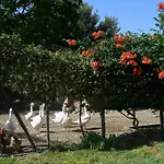 Alloggio per agriturismo Podere Luchiano Amelia