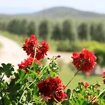 Podere Luchiano Alojamento de Turismo Rural *
