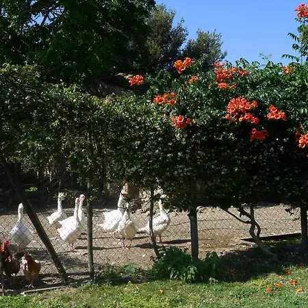 مزرعة للإقامة Podere Luchiano أميليا