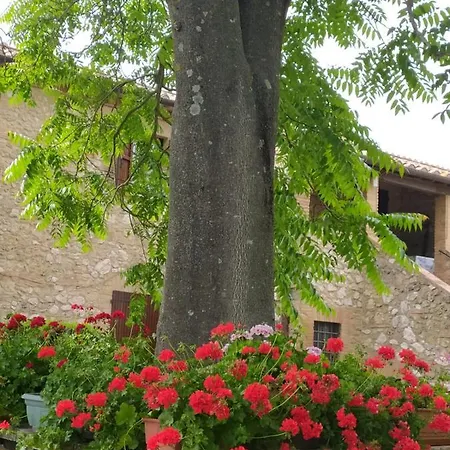 Podere Luchiano Vakantieboerderij