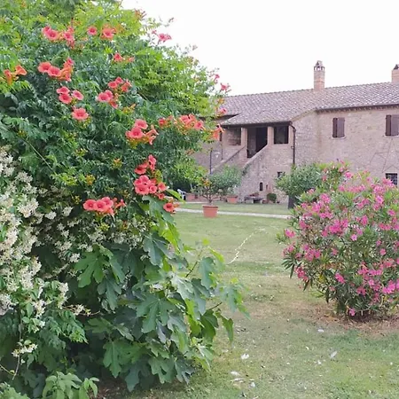 Agriturismo Podere Luchiano Амелиа