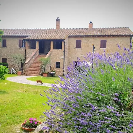 Podere Luchiano Bauernhof Amelia