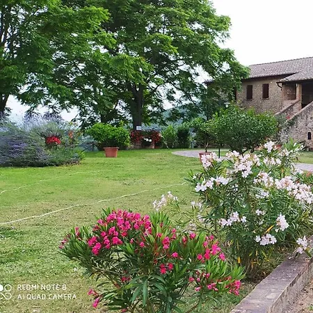Agriturismo Podere Luchiano Амелиа