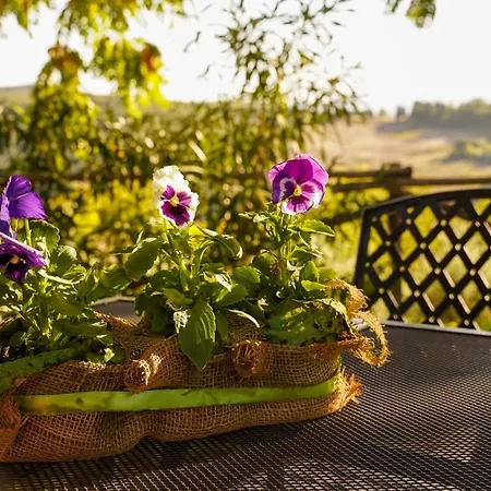 Agriturismo Podere Luchiano Feriegård Amelia