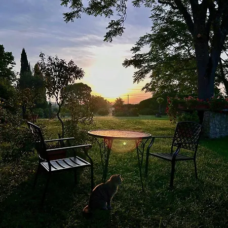Agriturismo Podere Luchiano *