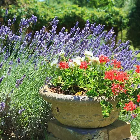 Podere Luchiano Vakantieboerderij