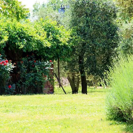 مزرعة للإقامة Podere Luchiano *