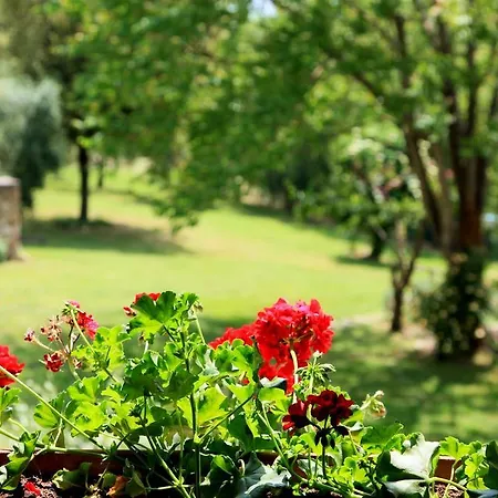 Agriturismo Podere Luchiano *