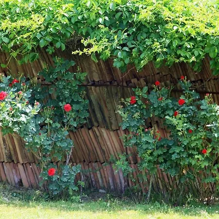 Vakantieboerderij Podere Luchiano *