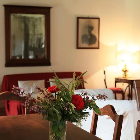 Podere Luchiano * Amelia