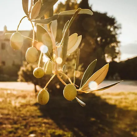 Vakantieboerderij Podere Luchiano