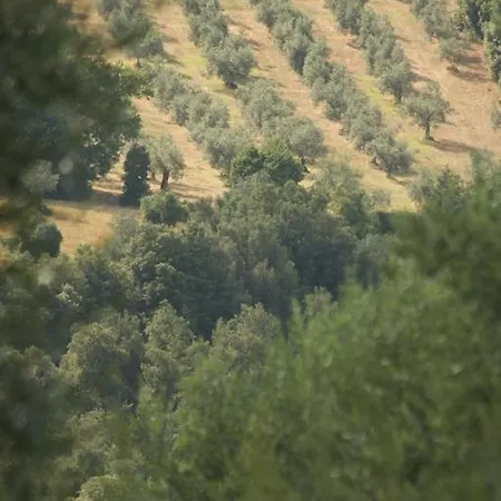 Agriturismo Podere Luchiano Амелиа