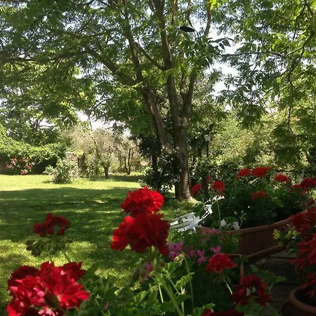 Фермерский дом Agriturismo Podere Luchiano Амелиа