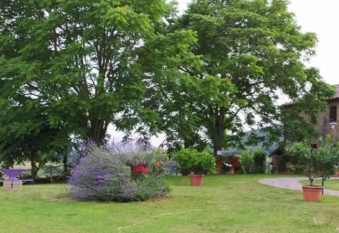 Agriturismo Podere Luchiano Feriegård Amelia