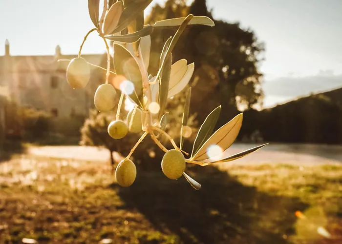 Feriegård Agriturismo Podere Luchiano